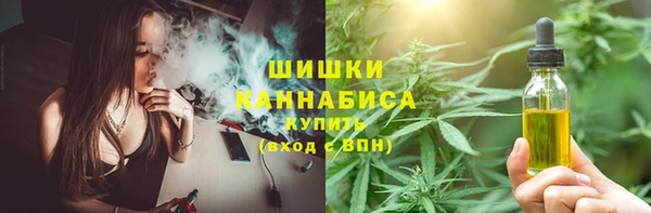 хмурый Дмитров
