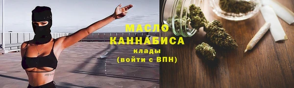хмурый Дмитров