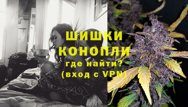 хмурый Дмитров