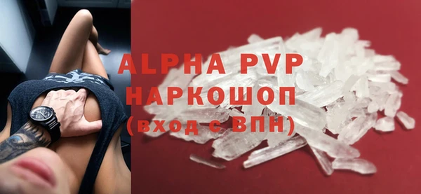 хмурый Дмитров
