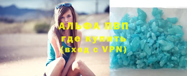 хмурый Дмитров