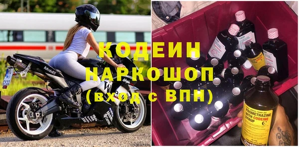 хмурый Дмитров