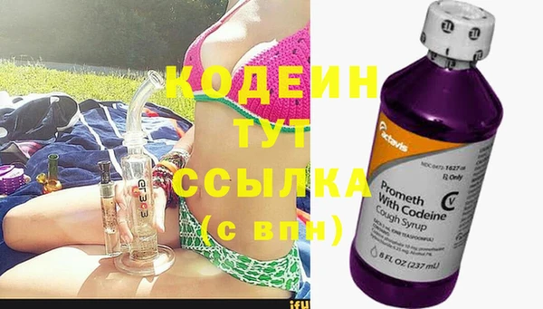 хмурый Дмитров