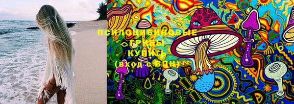 хмурый Дмитров