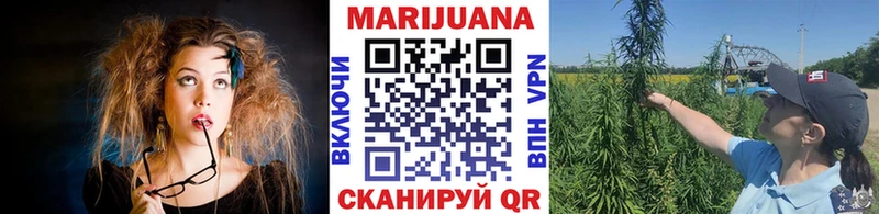 Конопля Amnesia  купить   Находка 